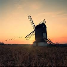 احمد علی avatar