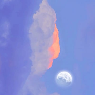 Inzamam-ul-Haq avatar