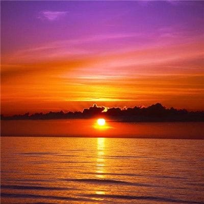 عمران خان avatar